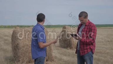 团队农业智慧农业理念.. 两个男子农民工人在一个关于数字生活方式的领域里研究干草堆